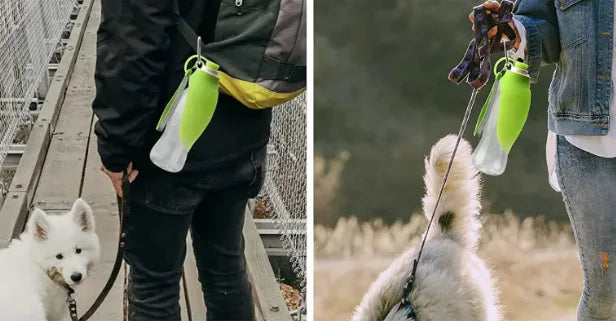 Portable Dog Water Bottle 580ml - Leak-Proof Pet Travel Dispenser